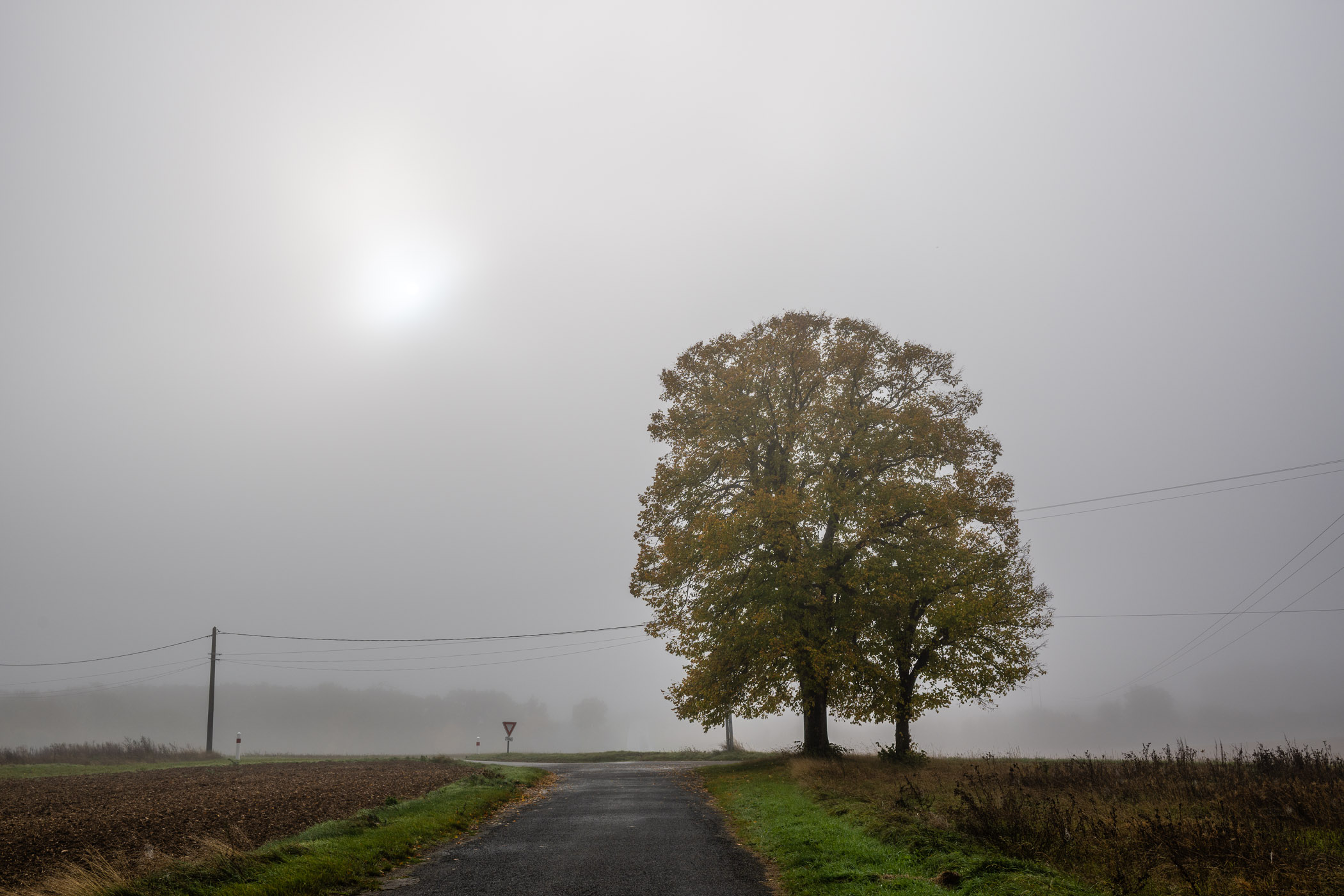Une lueur dans la brume