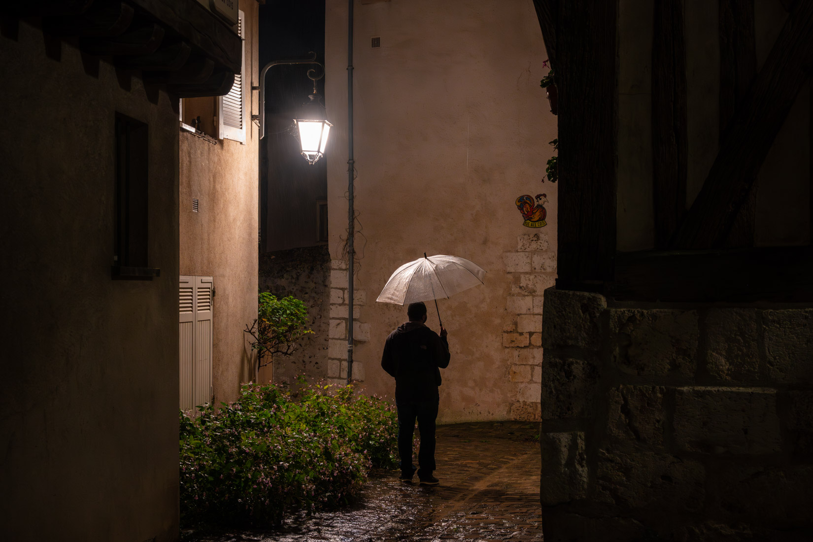 L'homme au parapluie (2) | Chartres - 2023