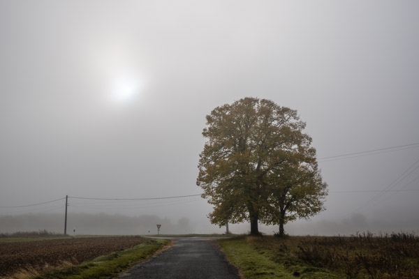 Une lueur dans la brume | Angerville - 2025