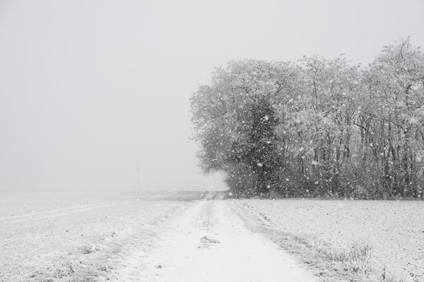 Chemin solitaire | Angerville - 2026