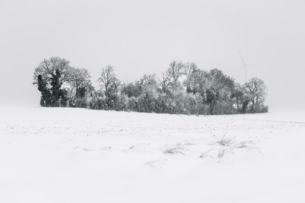 Le bosquet | Pussay - 2026